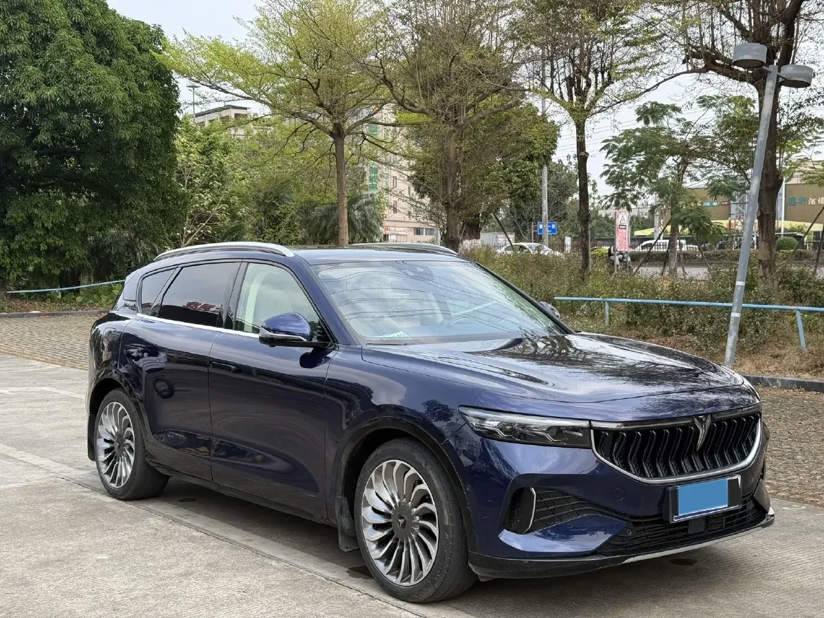 2021 Voyah FREE Range Extended 109HP REEV 33KWH,autocango,china used car exporter,china ev exporter,chinese used car exporter,chinese used ev exporter