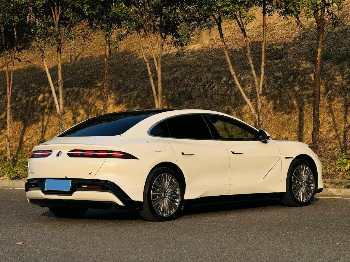 2024 Denza DenzaZ9 2.0T 207HP L4 E-CVT PHEV 38.5KWH,autocango,china used car exporter,china ev exporter,chinese used car exporter,chinese used ev exporter