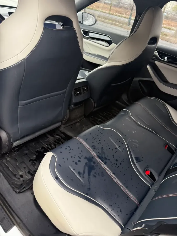 2021 DongFeng FuKang e Elysee BEV 38.4KWH,autocango,china used car exporter,china ev exporter,chinese used car exporter,chinese used ev exporter