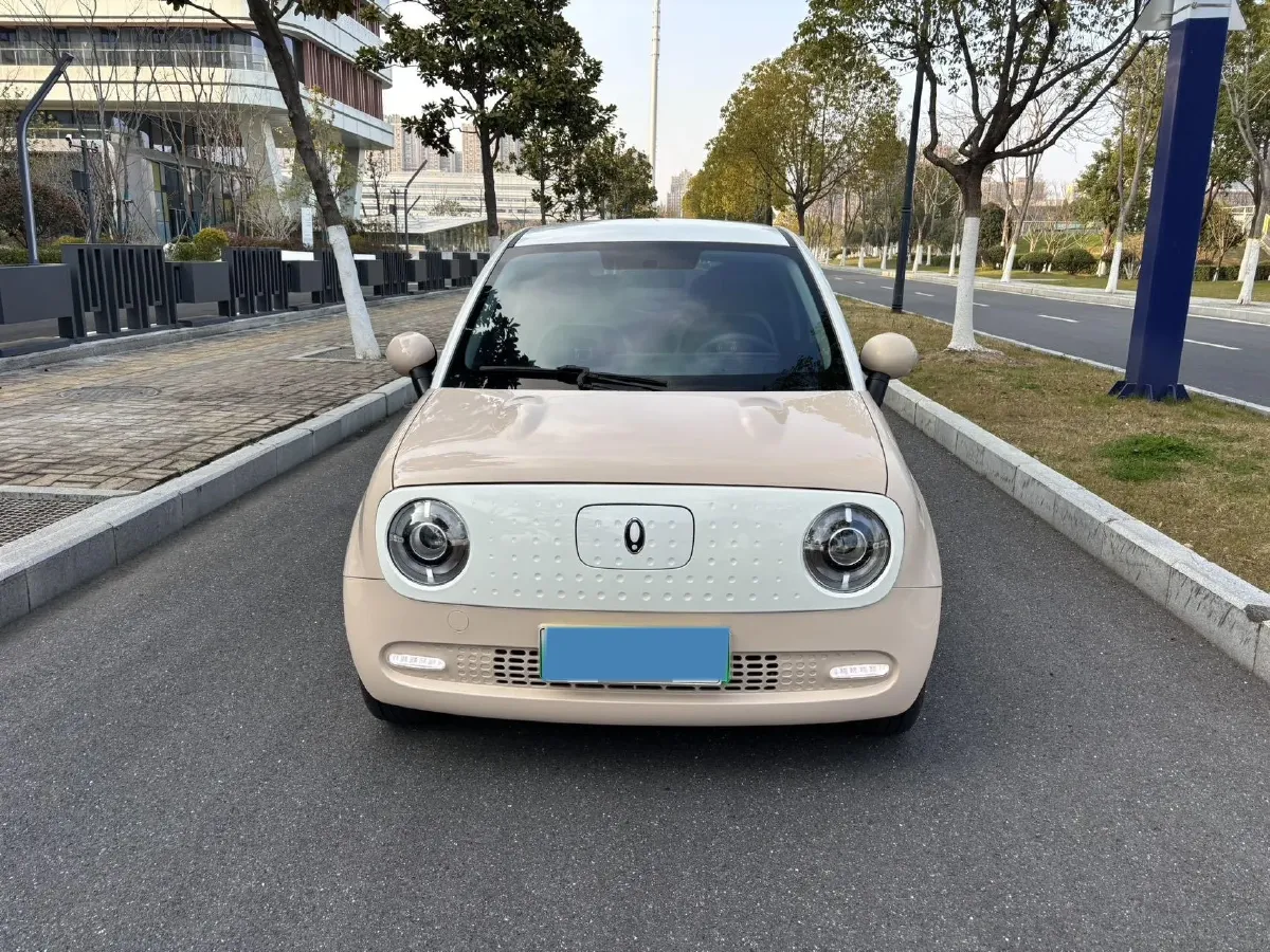 2022 DaYun YueHu BEV 30.66KWH,autocango,china used car exporter,china ev exporter,chinese used car exporter,chinese used ev exporter