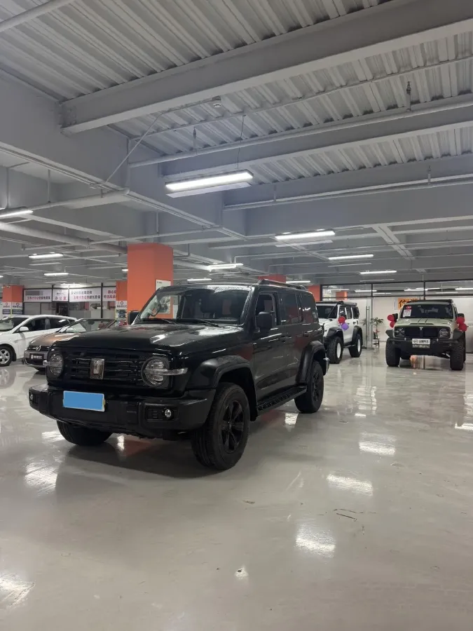 2023 Tank 300 2.0T 227HP L4 8AT,autocango,china used car exporter,china ev exporter,chinese used car exporter,chinese used ev exporter