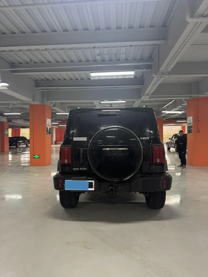 2023 Tank 300 2.0T 227HP L4 8AT,autocango,china used car exporter,china ev exporter,chinese used car exporter,chinese used ev exporter