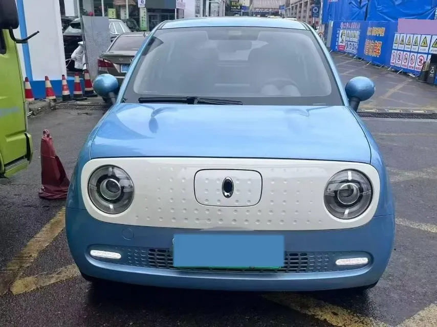 2019 Ora BlackCat BEV 33KWH,autocango,china used car exporter,china ev exporter,chinese used car exporter,chinese used ev exporter