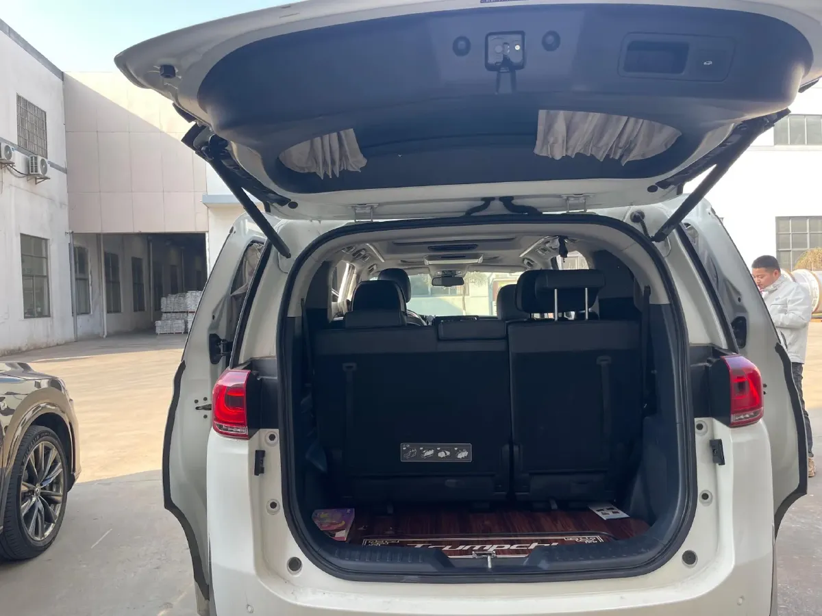 2021 GAC Trumpchi M8 2.0T 252HP L4 8AT,autocango,china used car exporter,china ev exporter,chinese used car exporter,chinese used ev exporter