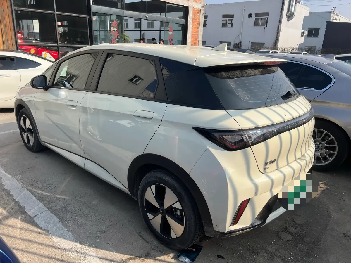 2023 BYD Dolphin BEV 44.928KWH,autocango,china used car exporter,china ev exporter,chinese used car exporter,chinese used ev exporter