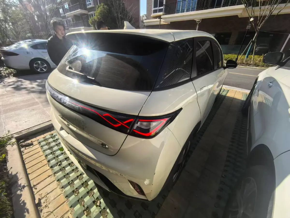 2023 BYD Dolphin BEV 44.928KWH,autocango,china used car exporter,china ev exporter,chinese used car exporter,chinese used ev exporter
