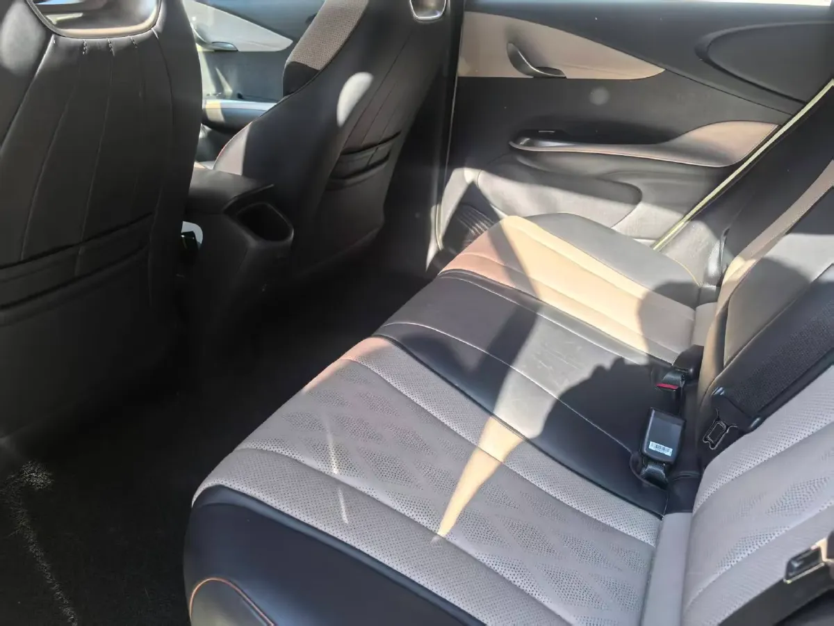 2023 BYD Dolphin BEV 44.928KWH,autocango,china used car exporter,china ev exporter,chinese used car exporter,chinese used ev exporter