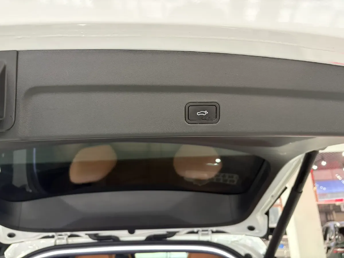 2021 LYNK&CO 09 EM-P 2.0T 254HP L4 8AT PHEV 18.83KWH,autocango,china used car exporter,china ev exporter,chinese used car exporter,chinese used ev exporter