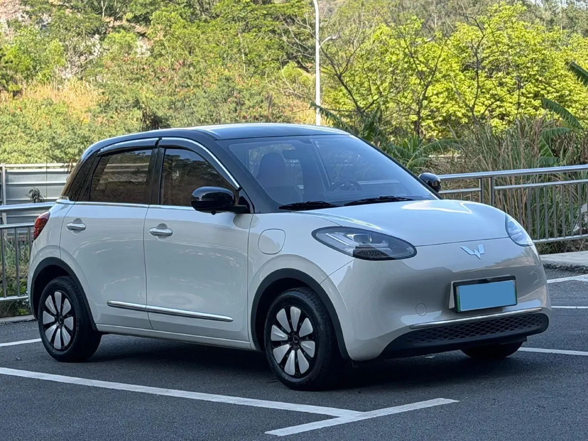 2024 WuLing BinGuo BEV 31.9KWH,autocango,china used car exporter,china ev exporter,chinese used car exporter,chinese used ev exporter