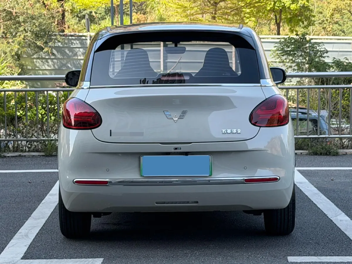 2024 WuLing BinGuo BEV 31.9KWH,autocango,china used car exporter,china ev exporter,chinese used car exporter,chinese used ev exporter