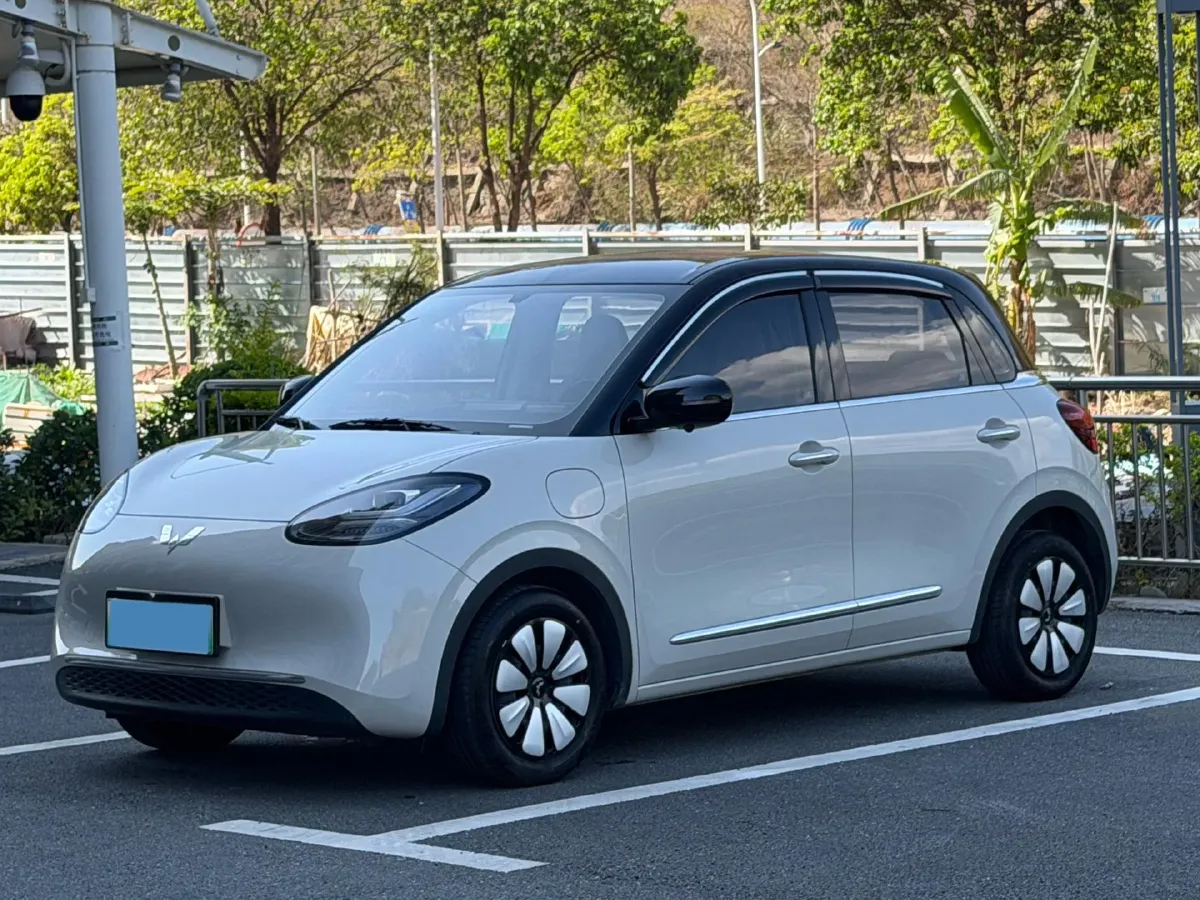 2024 WuLing BinGuo BEV 31.9KWH,autocango,china used car exporter,china ev exporter,chinese used car exporter,chinese used ev exporter
