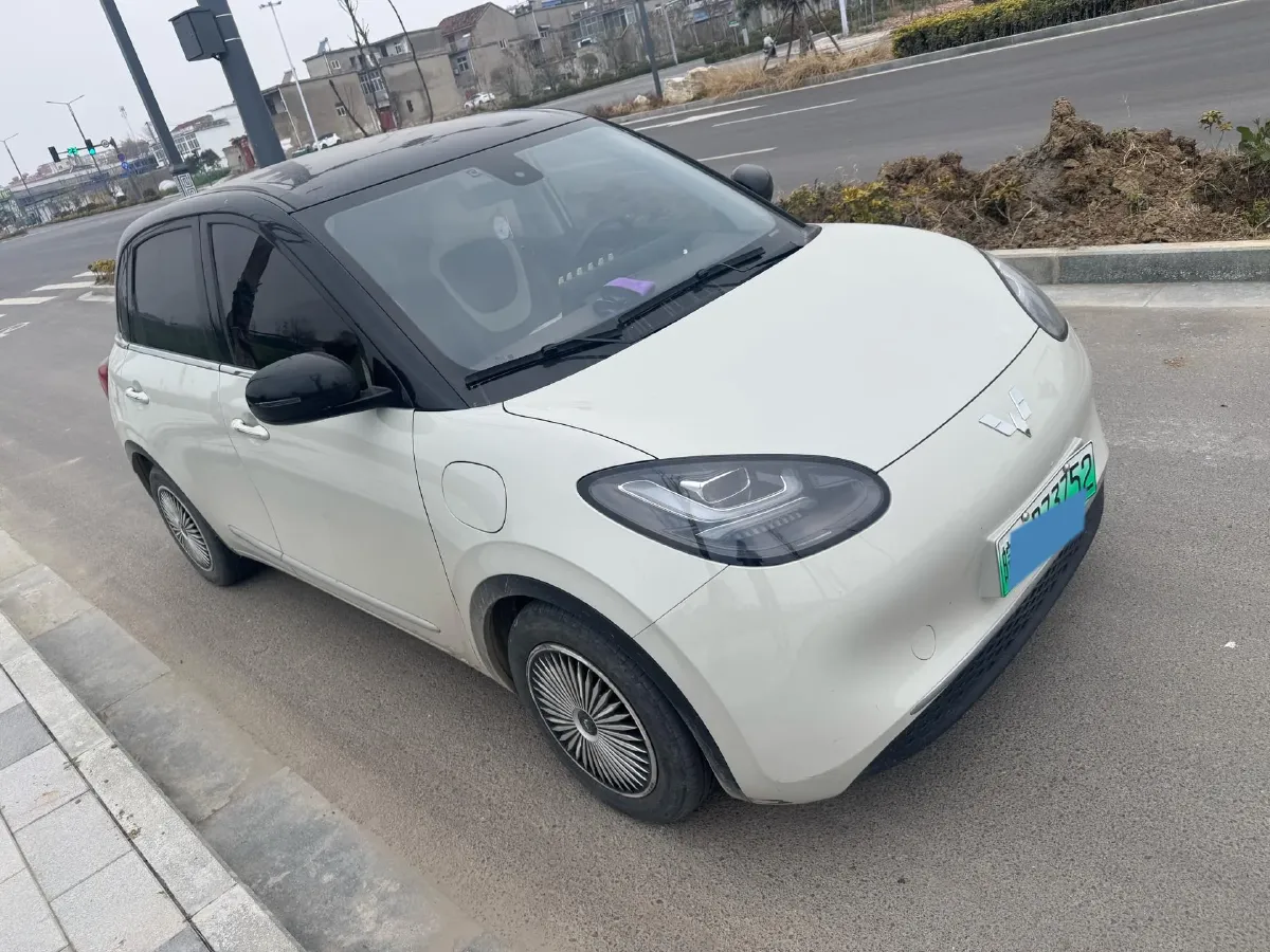 2023 WuLing BinGuo BEV 31.9KWH,autocango,china used car exporter,china ev exporter,chinese used car exporter,chinese used ev exporter