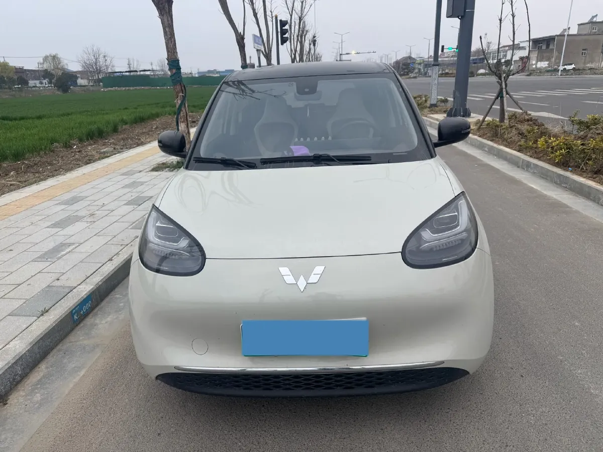 2023 WuLing BinGuo BEV 31.9KWH,autocango,china used car exporter,china ev exporter,chinese used car exporter,chinese used ev exporter