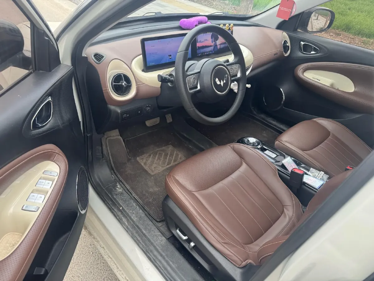 2023 WuLing BinGuo BEV 31.9KWH,autocango,china used car exporter,china ev exporter,chinese used car exporter,chinese used ev exporter