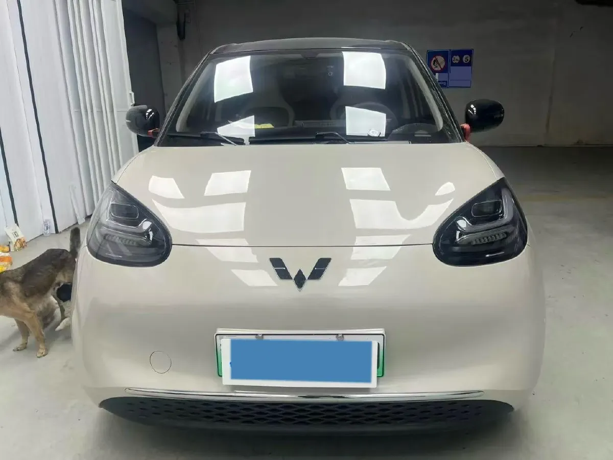 2025 WuLing BinGuo BEV,autocango,china used car exporter,china ev exporter,chinese used car exporter,chinese used ev exporter