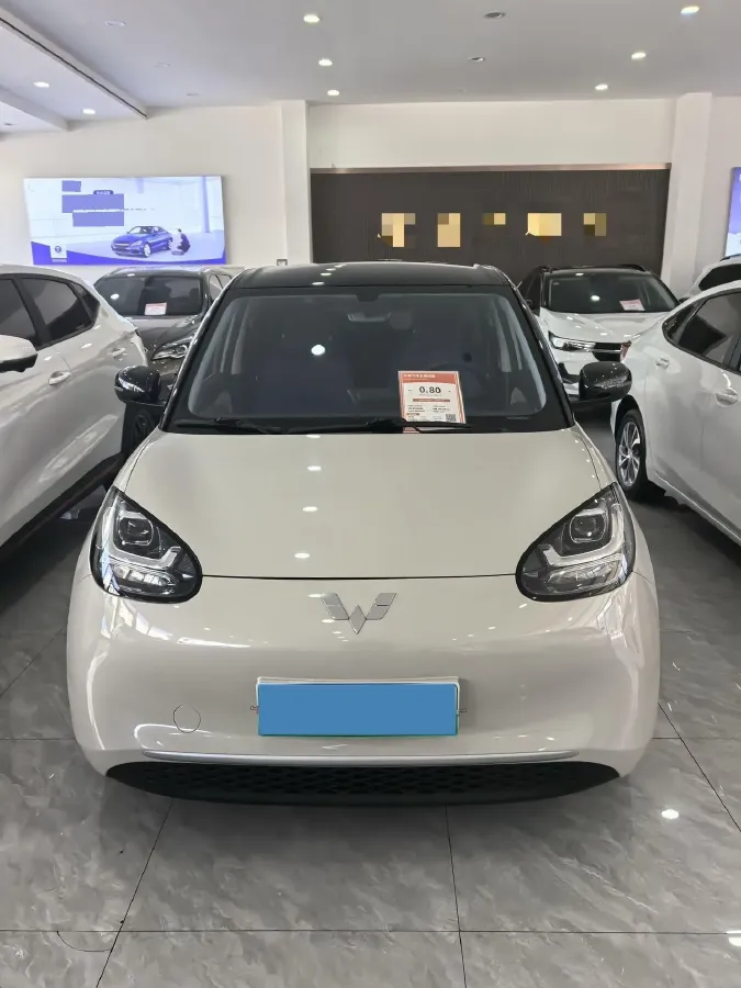 2023 WuLing BinGuo BEV 31.9KWH,autocango,china used car exporter,china ev exporter,chinese used car exporter,chinese used ev exporter