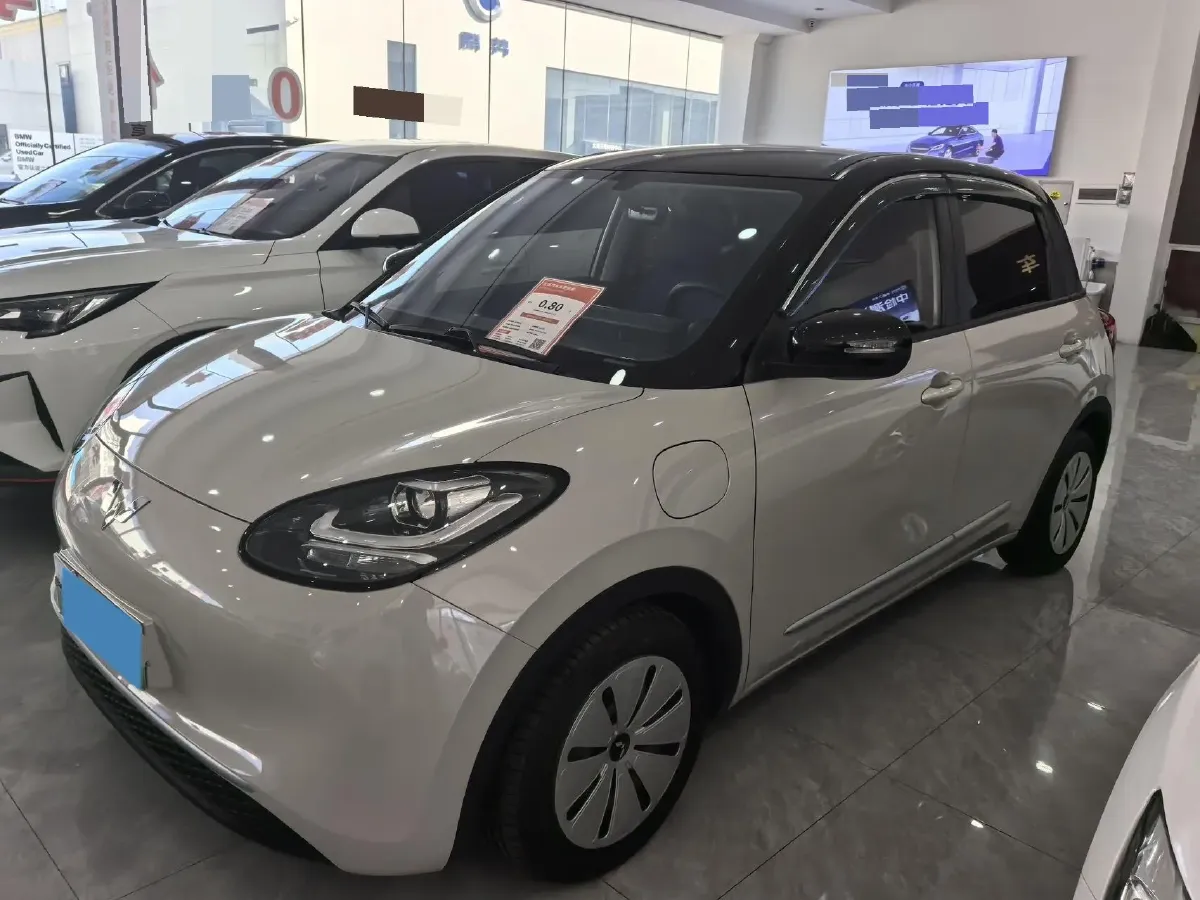 2023 WuLing BinGuo BEV 31.9KWH,autocango,china used car exporter,china ev exporter,chinese used car exporter,chinese used ev exporter