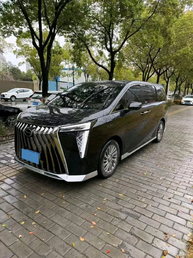 2024 GAC Trumpchi M8 2.0T 252HP L4 8AT,autocango,china used car exporter,china ev exporter,chinese used car exporter,chinese used ev exporter