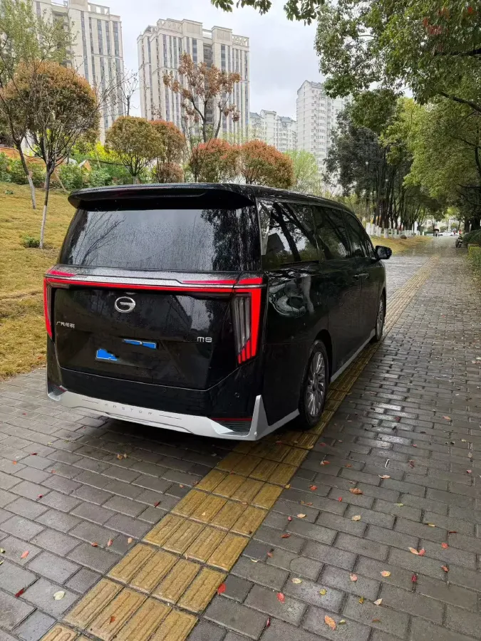 2024 GAC Trumpchi M8 2.0T 252HP L4 8AT,autocango,china used car exporter,china ev exporter,chinese used car exporter,chinese used ev exporter