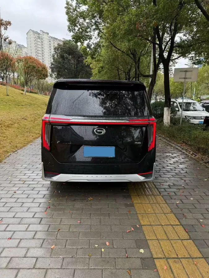 2024 GAC Trumpchi M8 2.0T 252HP L4 8AT,autocango,china used car exporter,china ev exporter,chinese used car exporter,chinese used ev exporter