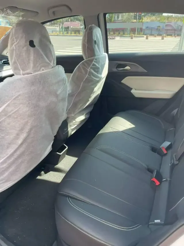 2024 Geometry E BEV 39.3KWH,autocango,china used car exporter,china ev exporter,chinese used car exporter,chinese used ev exporter