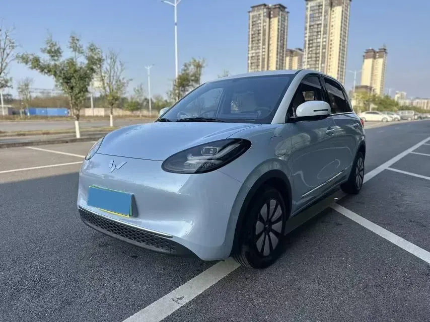 2023 WuLing BinGuo BEV 31.9KWH,autocango,china used car exporter,china ev exporter,chinese used car exporter,chinese used ev exporter