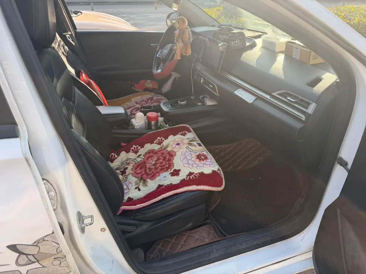 2019 BYD e2 BEV 47.3KWH,autocango,china used car exporter,china ev exporter,chinese used car exporter,chinese used ev exporter