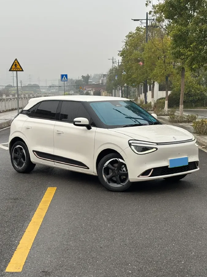 2024 DongFeng eπ 01 BEV 42.3KWH,autocango,china used car exporter,china ev exporter,chinese used car exporter,chinese used ev exporter