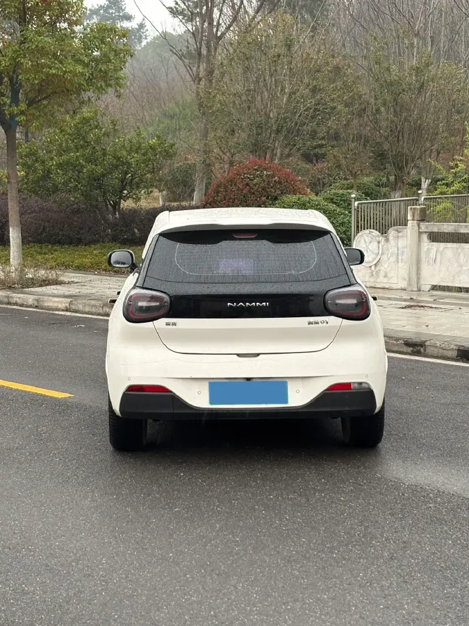 2024 DongFeng eπ 01 BEV 42.3KWH,autocango,china used car exporter,china ev exporter,chinese used car exporter,chinese used ev exporter