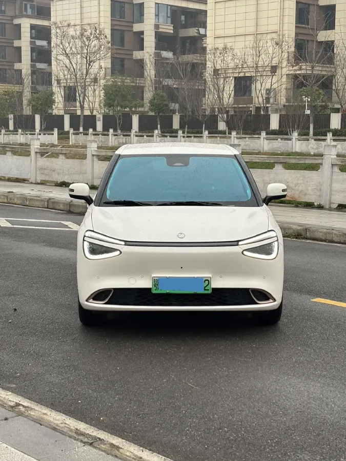 2024 DongFeng eπ 01 BEV 42.3KWH,autocango,china used car exporter,china ev exporter,chinese used car exporter,chinese used ev exporter
