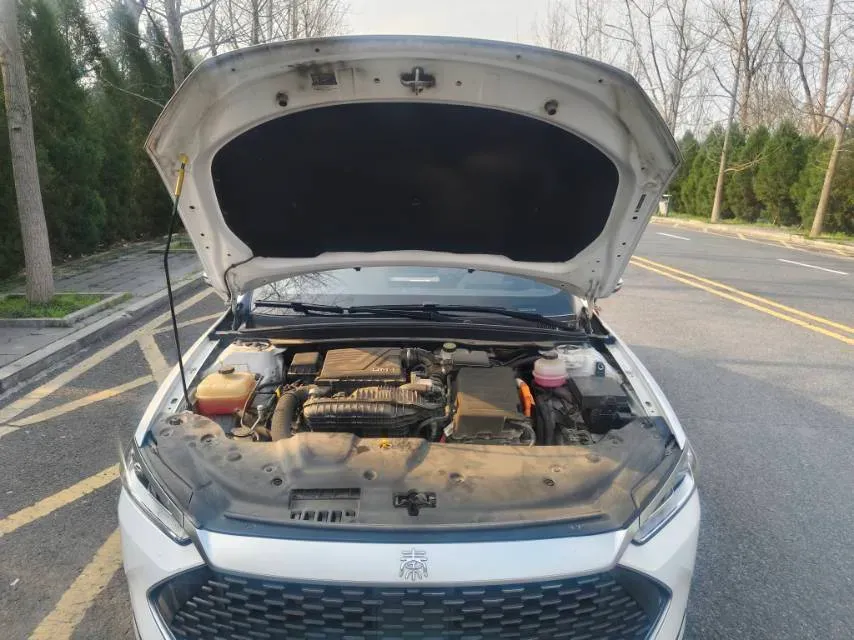 2021 BYD e2 BEV 43.2KWH,autocango,china used car exporter,china ev exporter,chinese used car exporter,chinese used ev exporter