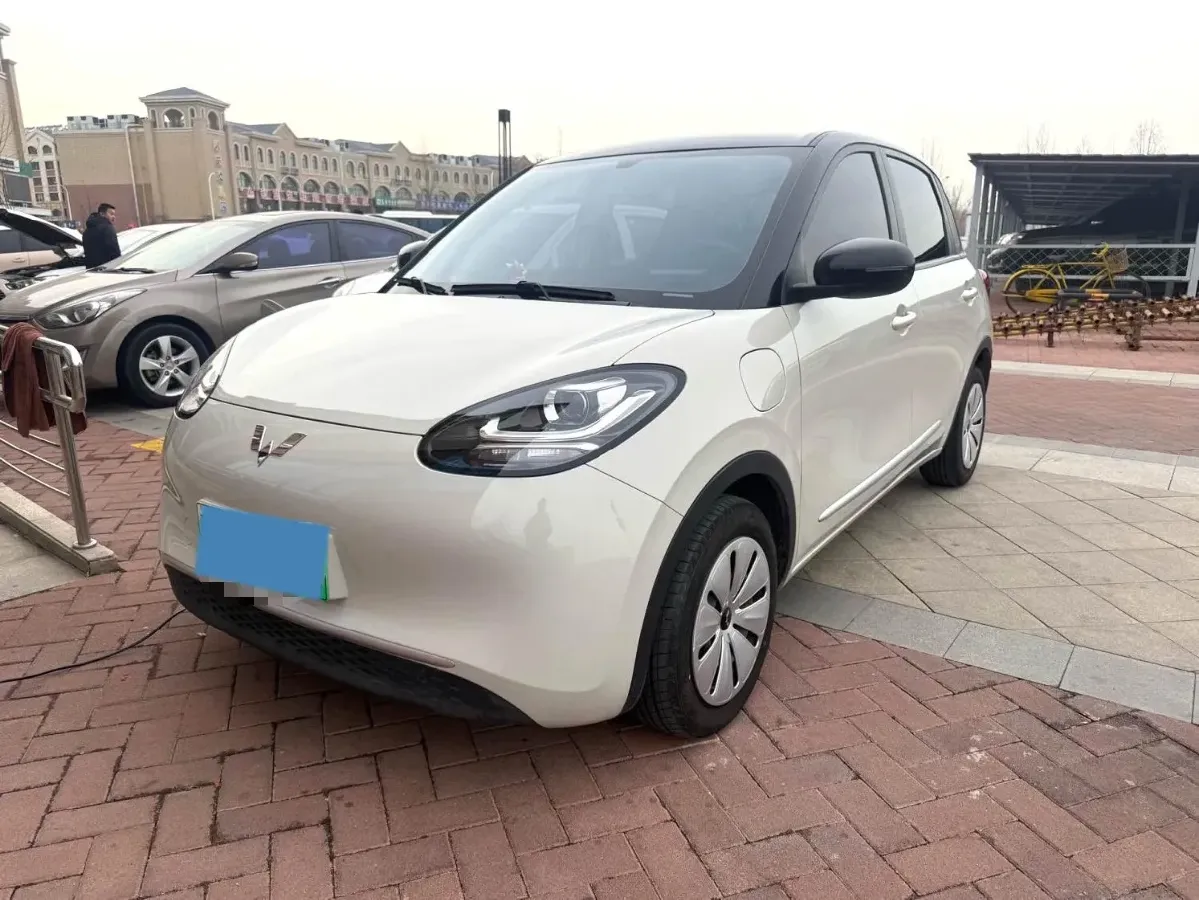 2024 WuLing BinGuo BEV 17.3KWH,autocango,china used car exporter,china ev exporter,chinese used car exporter,chinese used ev exporter