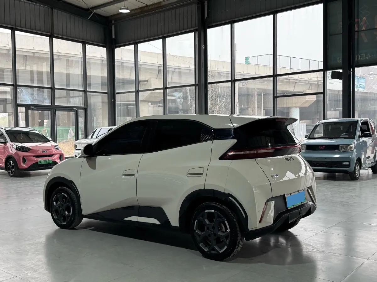 2024 BYD Seagull BEV 30.08KWH,autocango,china used car exporter,china ev exporter,chinese used car exporter,chinese used ev exporter