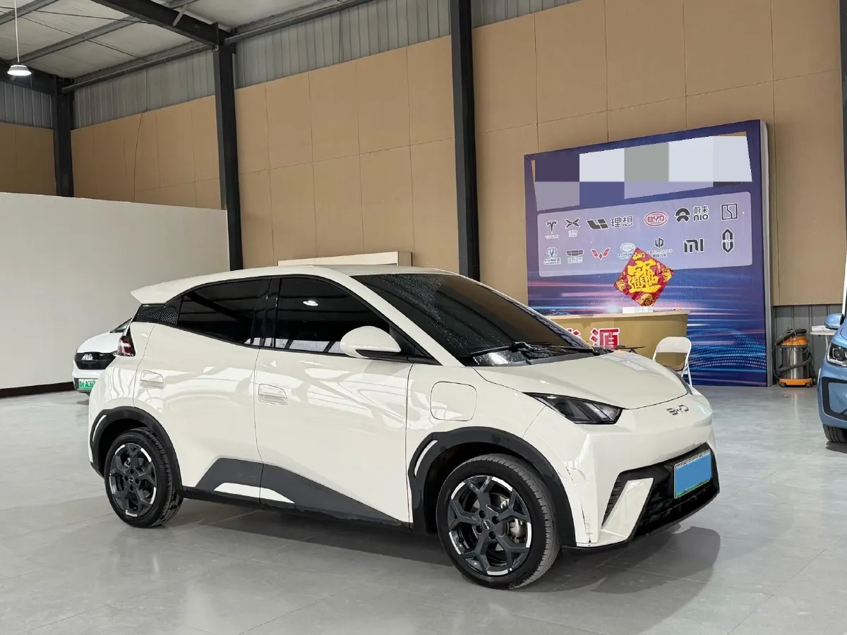2024 BYD Seagull BEV 30.08KWH,autocango,china used car exporter,china ev exporter,chinese used car exporter,chinese used ev exporter