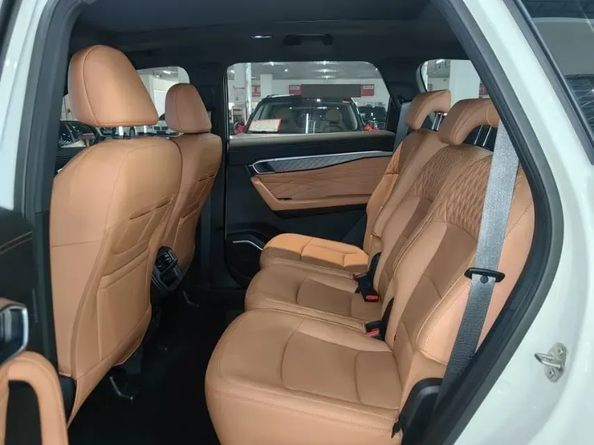 2024 Geely Okavango L 2.0T 218HP L4 7DCT,autocango,china used car exporter,china ev exporter,chinese used car exporter,chinese used ev exporter