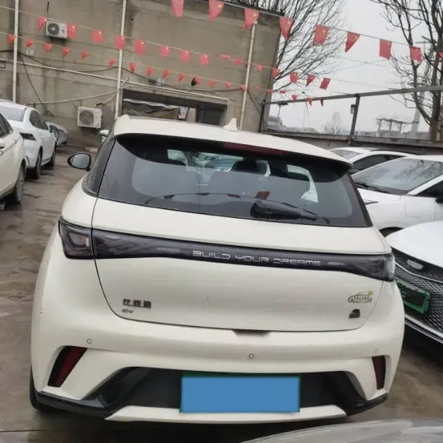 2023 BYD Dolphin BEV 44.928KWH,autocango,china used car exporter,china ev exporter,chinese used car exporter,chinese used ev exporter