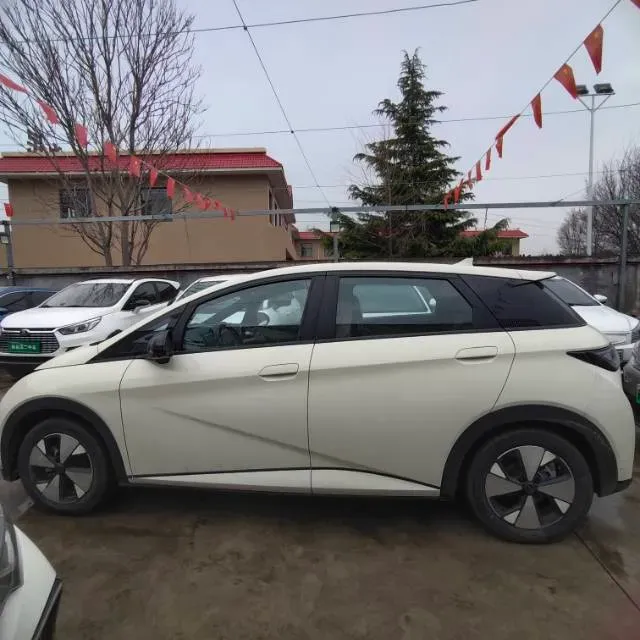 2023 BYD Dolphin BEV 44.928KWH,autocango,china used car exporter,china ev exporter,chinese used car exporter,chinese used ev exporter