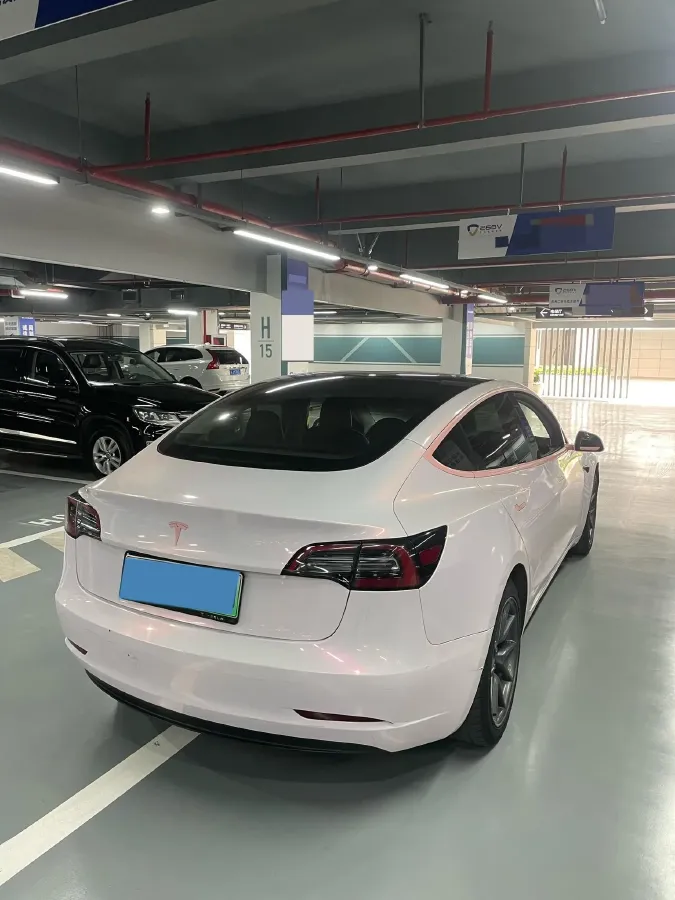 2021 Tesla Model 3 BEV 55KWH,autocango,china used car exporter,china ev exporter,chinese used car exporter,chinese used ev exporter