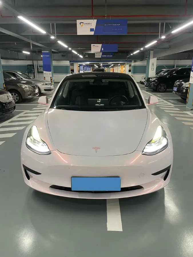 2021 Tesla Model 3 BEV 55KWH,autocango,china used car exporter,china ev exporter,chinese used car exporter,chinese used ev exporter