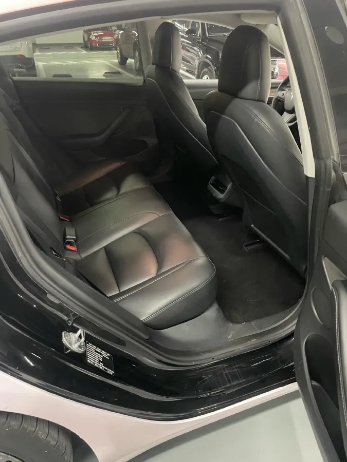 2021 Tesla Model 3 BEV 55KWH,autocango,china used car exporter,china ev exporter,chinese used car exporter,chinese used ev exporter