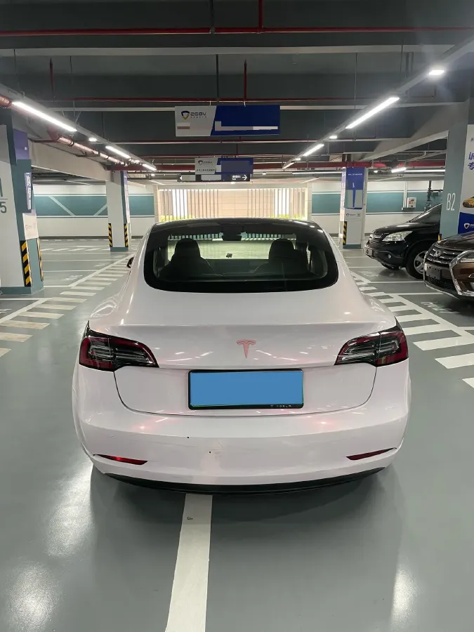 2021 Tesla Model 3 BEV 55KWH,autocango,china used car exporter,china ev exporter,chinese used car exporter,chinese used ev exporter