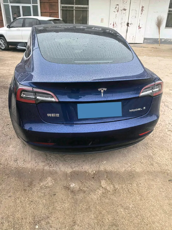 2020 Tesla Model 3 BEV 52KWH,autocango,china used car exporter,china ev exporter,chinese used car exporter,chinese used ev exporter