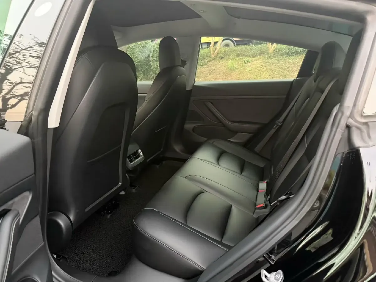 2020 Tesla Model 3 BEV 52KWH,autocango,china used car exporter,china ev exporter,chinese used car exporter,chinese used ev exporter