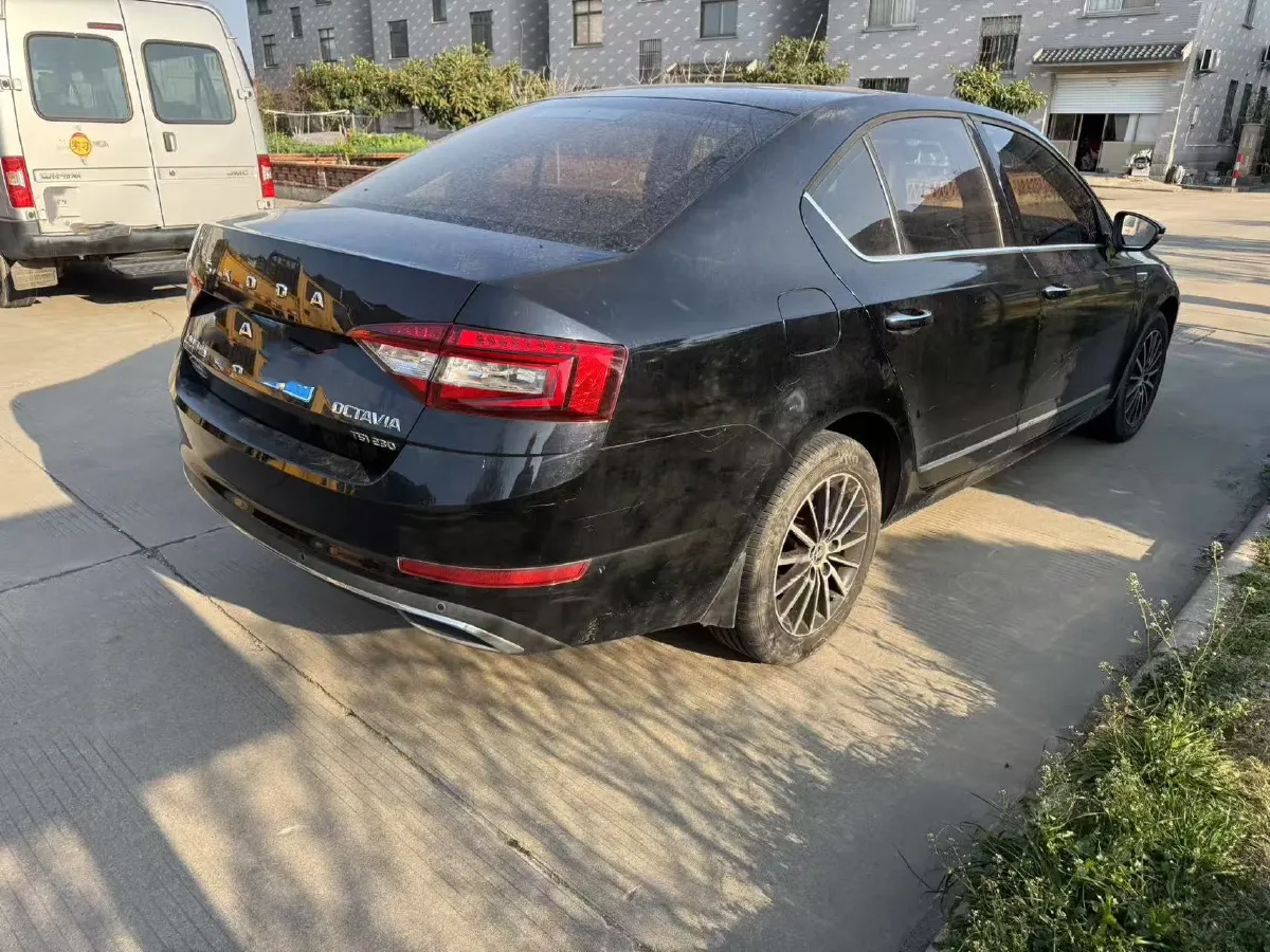 2019 Skoda Octavia 1.2T 116HP L4 7DCT,autocango,china used car exporter,china ev exporter,chinese used car exporter,chinese used ev exporter