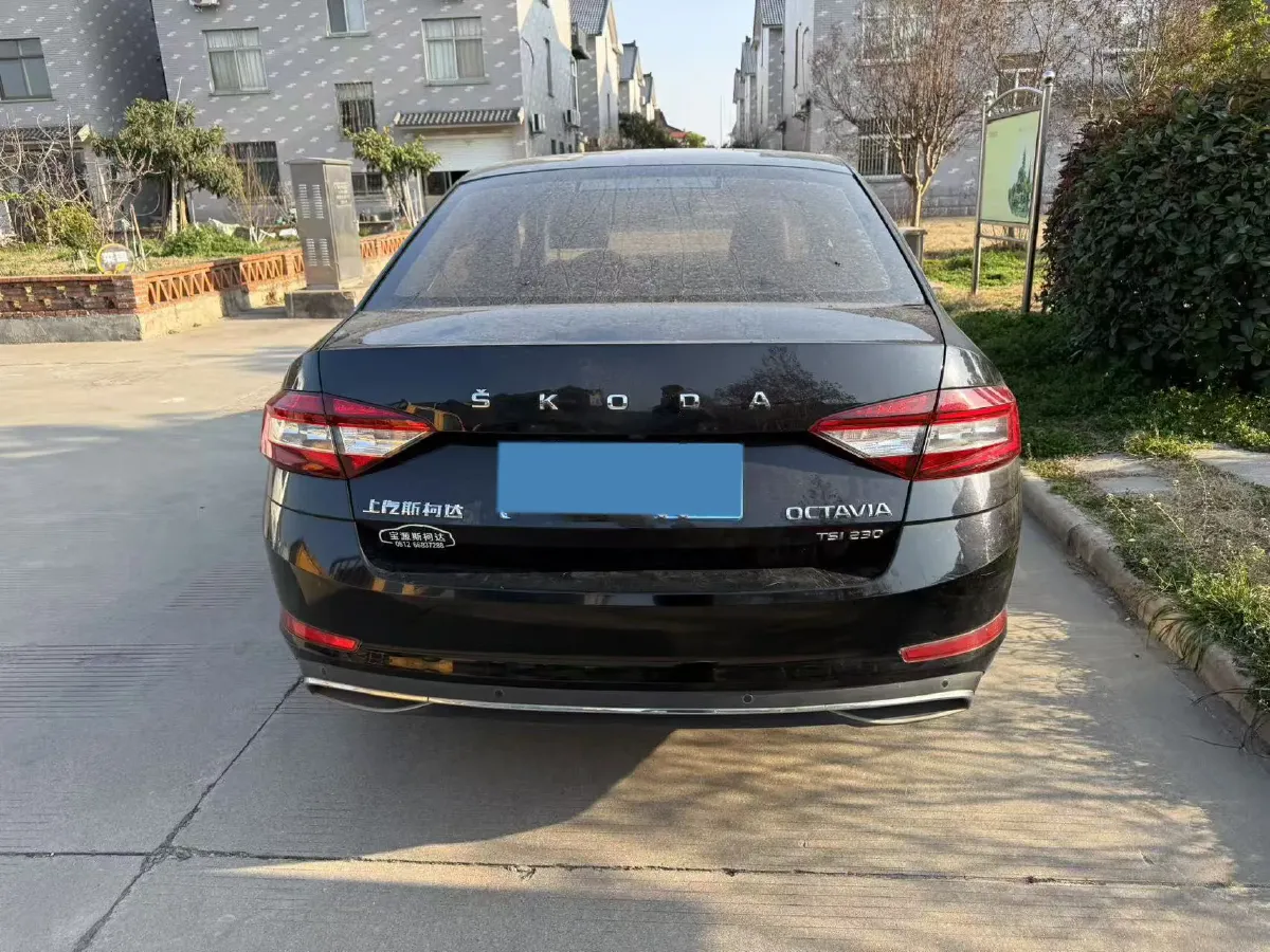 2019 Skoda Octavia 1.2T 116HP L4 7DCT,autocango,china used car exporter,china ev exporter,chinese used car exporter,chinese used ev exporter