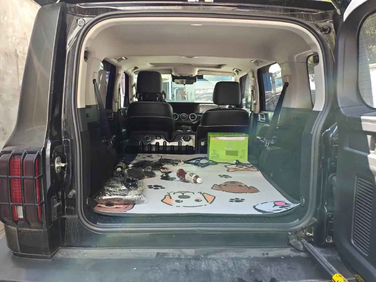 2023 Tank 300 2.0T 227HP L4 8AT,autocango,china used car exporter,china ev exporter,chinese used car exporter,chinese used ev exporter