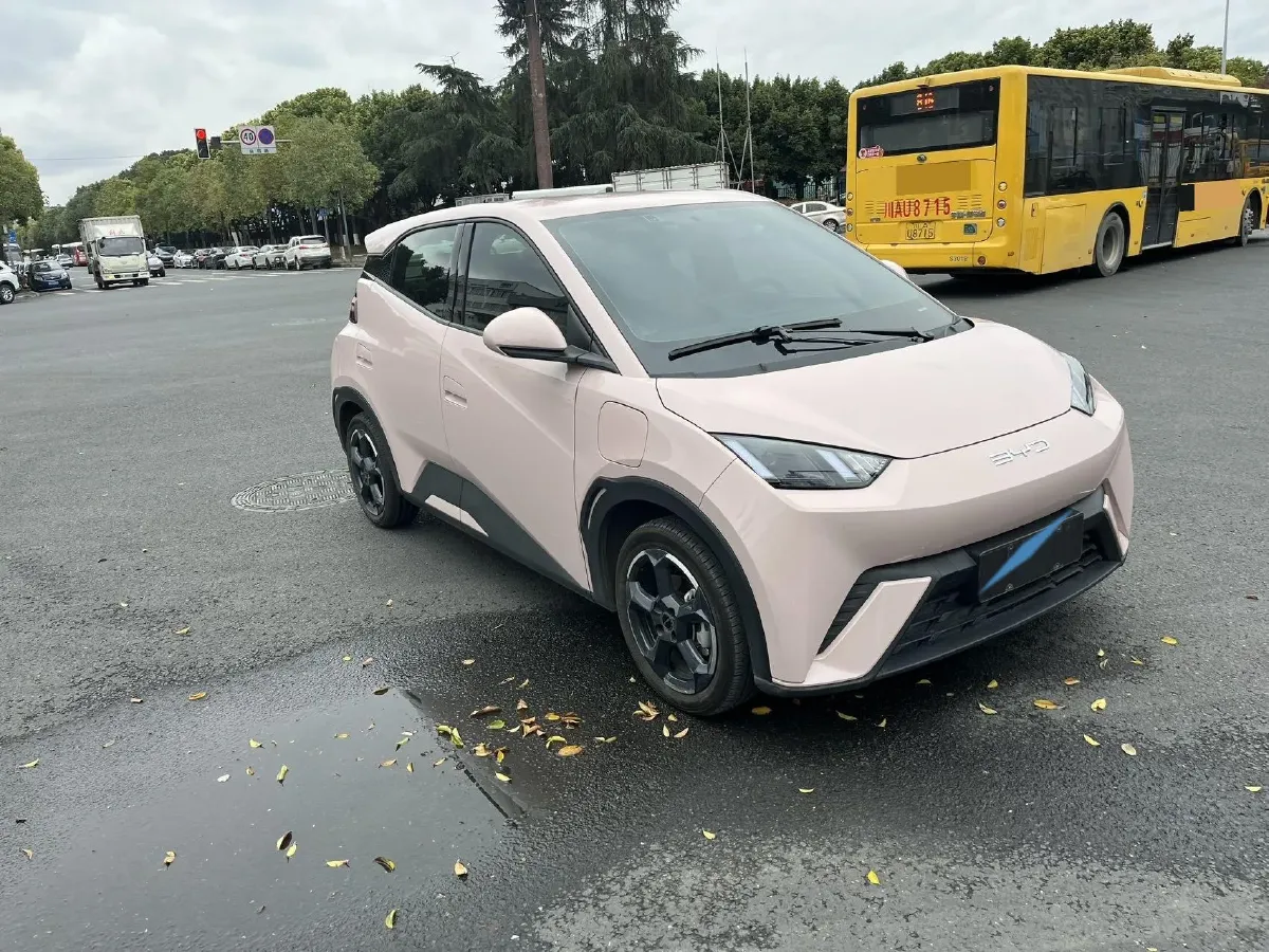 2023 BYD Seagull BEV 30.08KWH,autocango,china used car exporter,china ev exporter,chinese used car exporter,chinese used ev exporter