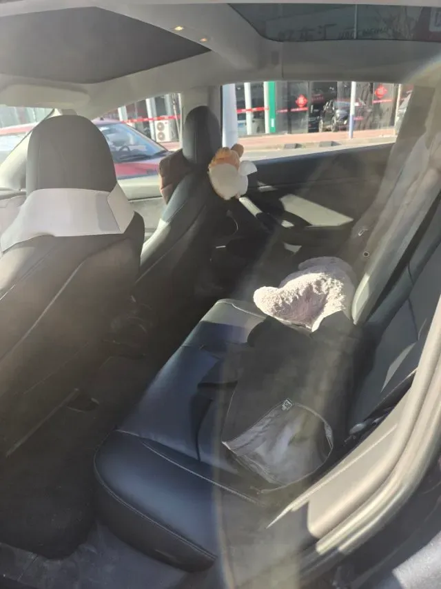 2021 Tesla Model 3 BEV 55KWH,autocango,china used car exporter,china ev exporter,chinese used car exporter,chinese used ev exporter