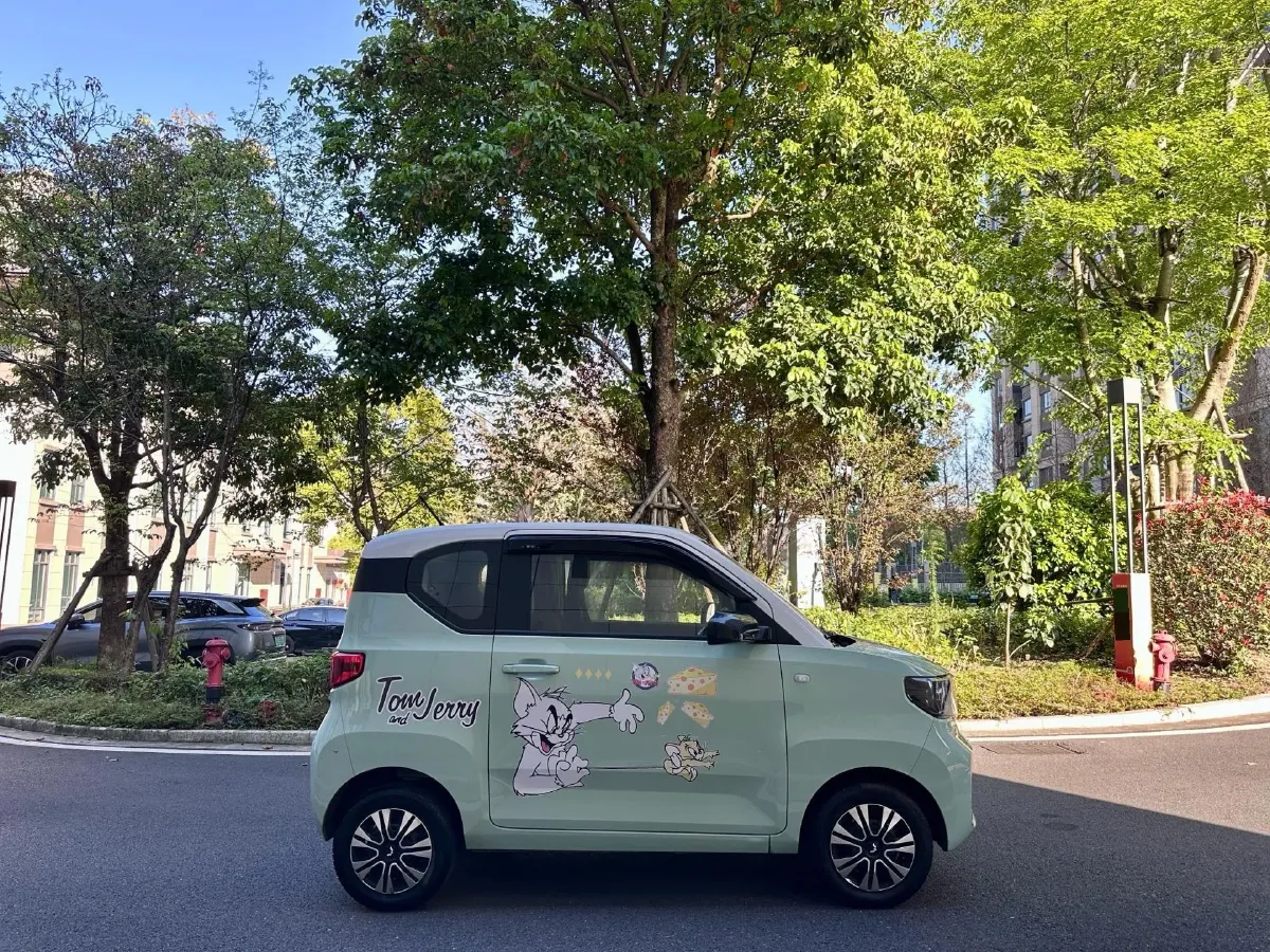 2021 WuLing HongGuang MINI EV BEV 13.8KWH,autocango,china used car exporter,china ev exporter,chinese used car exporter,chinese used ev exporter