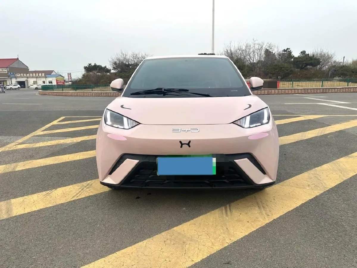 2024 BYD Seagull BEV 30.08KWH,autocango,china used car exporter,china ev exporter,chinese used car exporter,chinese used ev exporter